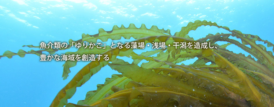 魚介類の「ゆりかご」となる藻場・浅場・干潟を造成し、豊かな海域を創造する